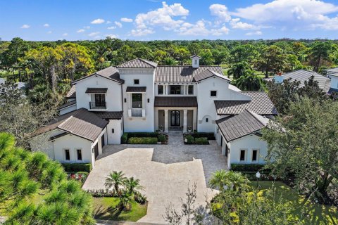 Villa ou maison à vendre à Jupiter, Floride: 5 chambres, 787.53 m2 № 2192704 - photo 3