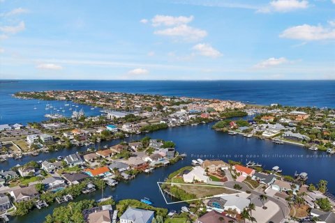Land in Apollo Beach, Florida № 1603077 - photo 6