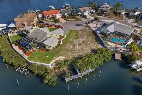 Land in Apollo Beach, Florida № 1603077 - photo 1