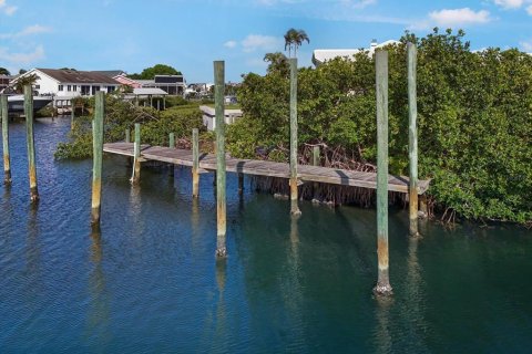 Land in Apollo Beach, Florida № 1603077 - photo 10