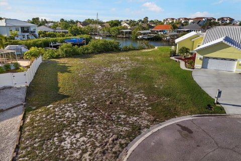 Land in Apollo Beach, Florida № 1603077 - photo 4