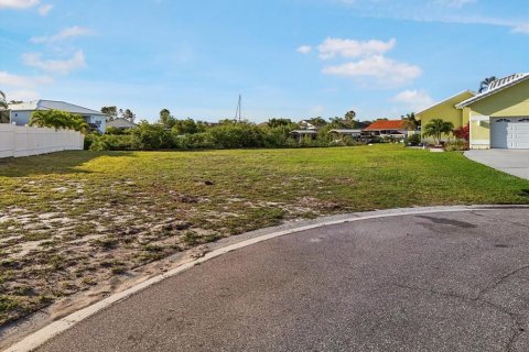 Land in Apollo Beach, Florida № 1603077 - photo 3