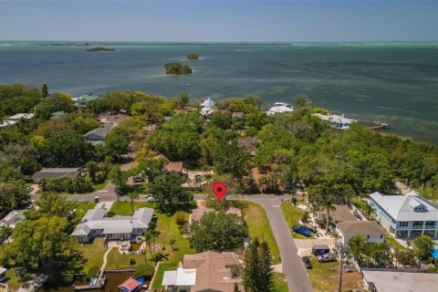 House in Palm Harbor, Florida 2 bedrooms, 153.85 sq.m. № 1624938 - photo 4
