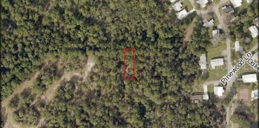 Land in Mount Dora, Florida № 2163742