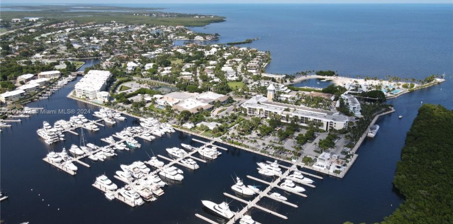 Land in Key Largo, Florida № 1009366