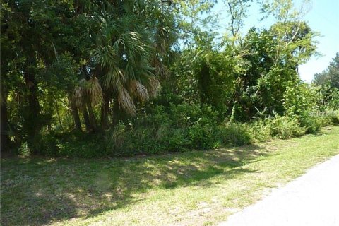 Land in North Port, Florida № 2161365 - photo 3