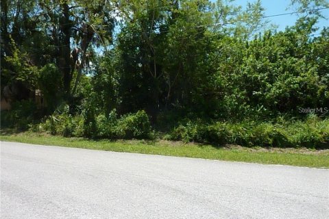 Land in North Port, Florida № 2161365 - photo 2