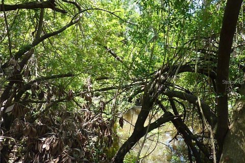 Land in North Port, Florida № 2161365 - photo 5