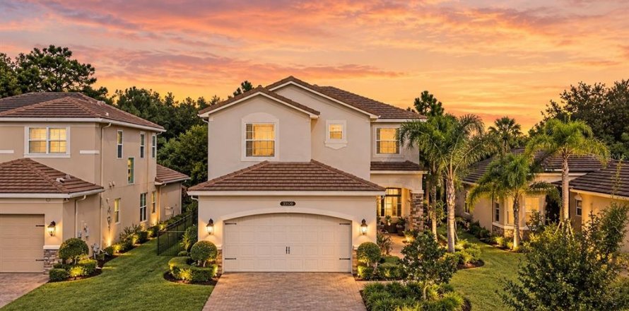 Villa ou maison à Wesley Chapel, Floride 4 chambres, 253.44 m2 № 2387543