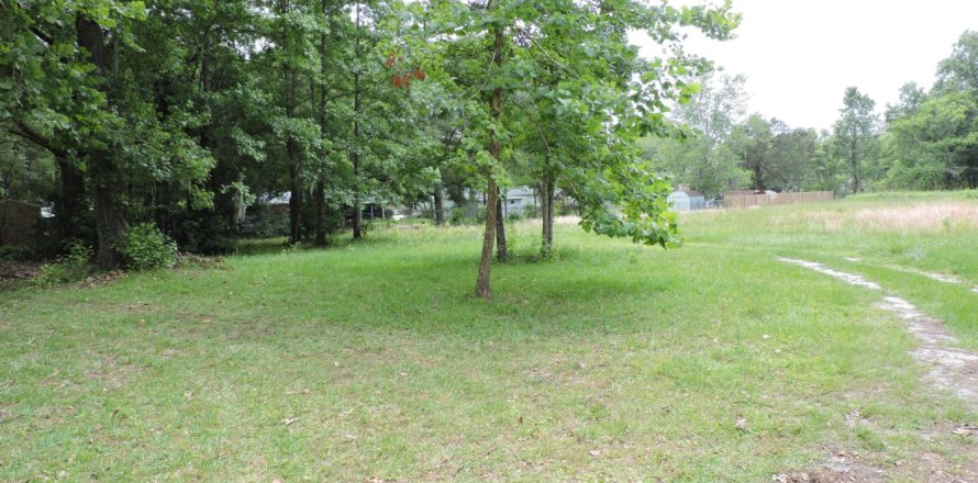 Terreno en Green Cove Springs, Florida № 767625