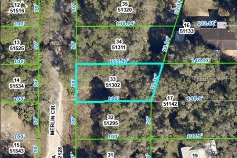 Land in Dade City, Florida № 2163509 - photo 2