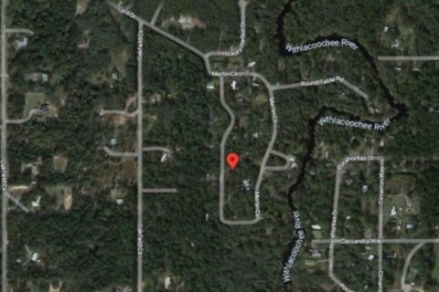 Land in Dade City, Florida № 2163509 - photo 4