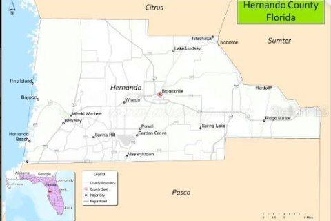 Land in Dade City, Florida № 2163509 - photo 5