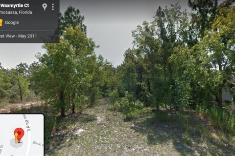 Terrain à Homosassa, Floride № 2224224