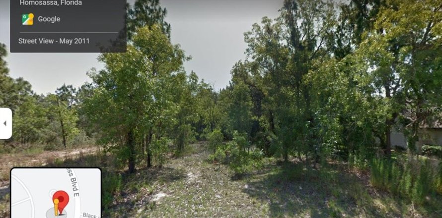 Terrain à Homosassa, Floride № 2224224
