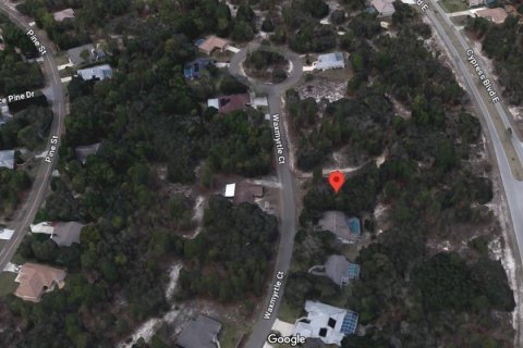 Terrain à vendre à Homosassa, Floride № 2224224 - photo 3