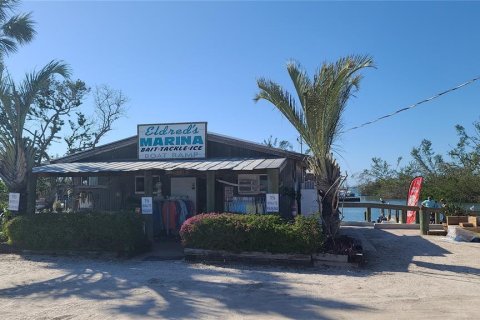Casa en venta en Placida, Florida, 3 dormitorios, 214.42 m2 № 2199978 - foto 29