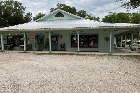 Commercial property in Lake Helen, Florida 342.25 sq.m. № 2195140