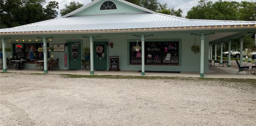 Commercial property in Lake Helen, Florida 342.25 sq.m. № 2195140
