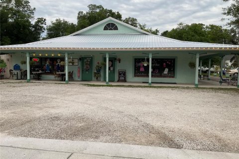 Commercial property in Lake Helen, Florida 342.25 sq.m. № 2195140 - photo 2