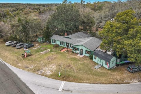 Villa ou maison à vendre à Mount Dora, Floride: 3 chambres, 251.67 m2 № 2098440 - photo 6