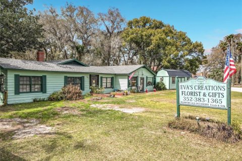 Villa ou maison à vendre à Mount Dora, Floride: 3 chambres, 251.67 m2 № 2098440 - photo 7