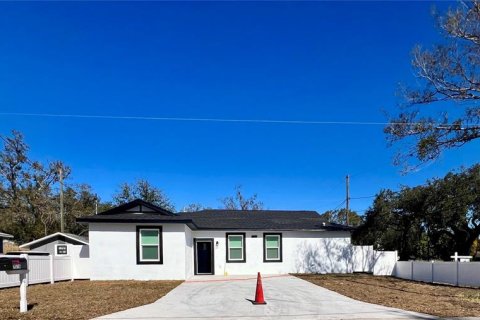 House in Tampa, Florida 4 bedrooms, 140.75 sq.m. № 2102240