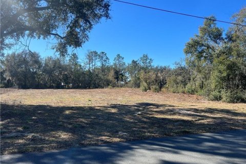 Land in Inverness, Florida № 2165138