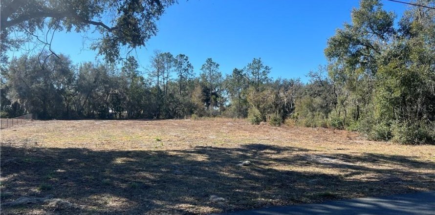 Land in Inverness, Florida № 2165138
