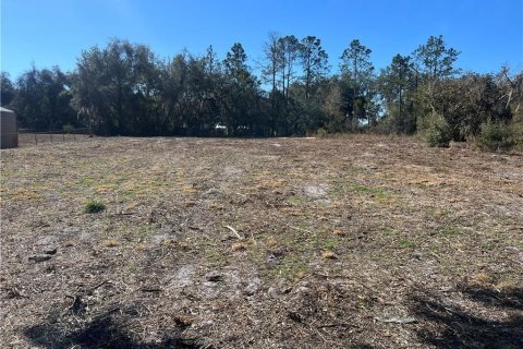 Land in Inverness, Florida № 2165138 - photo 4