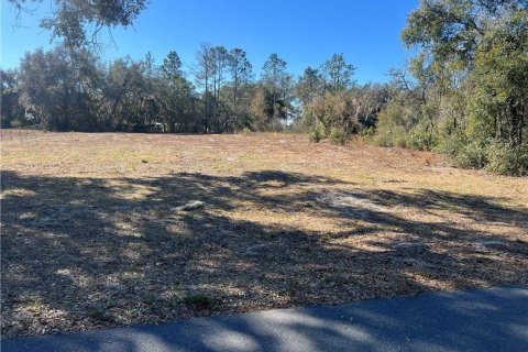Land in Inverness, Florida № 2165138 - photo 2