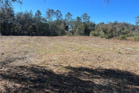 Land in Inverness, Florida № 2165138 - photo 3