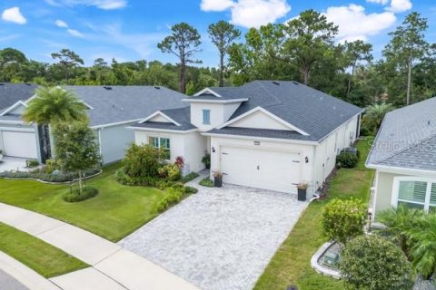 Villa ou maison à vendre à Mount Dora, Floride: 3 chambres, 216.46 m2 № 1798075 - photo 1