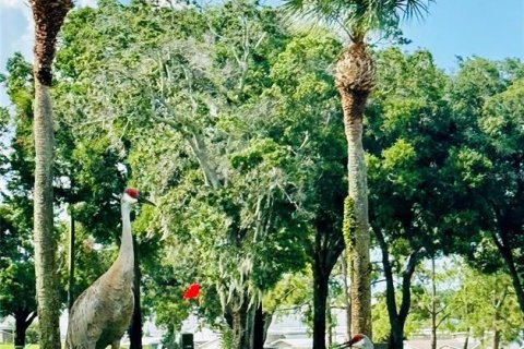 Land in Davenport, Florida № 1829430 - photo 19