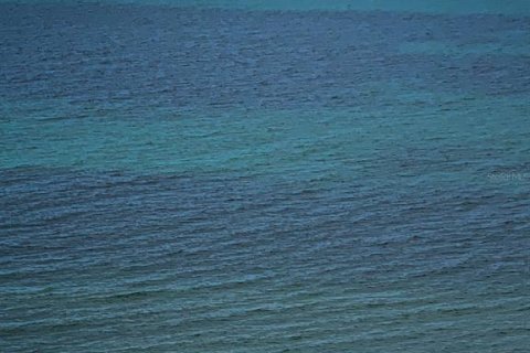 Condominio en venta en Clearwater, Florida, 1 dormitorio, 82.22 m2 № 1904778 - foto 30