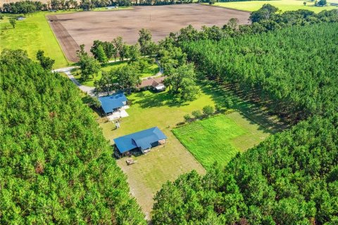 House in Trenton, Florida 3 bedrooms, 323.49 sq.m. № 1844331 - photo 9