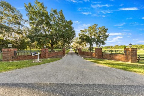 Villa ou maison à vendre à Belleview, Floride: 6 chambres, 345.69 m2 № 2394313 - photo 3