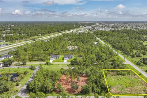 Land in Punta Gorda, Florida № 1808354 - photo 1