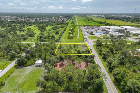 Land in Punta Gorda, Florida № 1808354 - photo 2