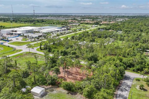 Land in Punta Gorda, Florida № 1808354 - photo 3