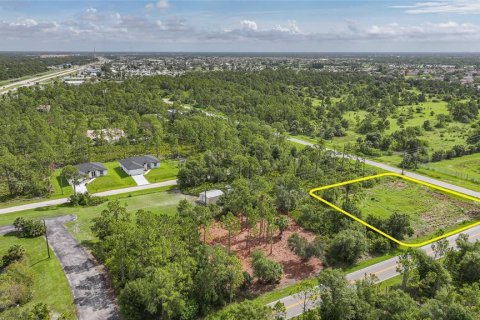 Land in Punta Gorda, Florida № 1808354 - photo 4