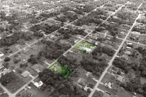 Купить земельный участок в Лихай-Эйкерс, Флорида № 2057523 - фото 8