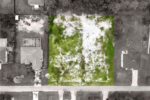 Купить земельный участок в Лихай-Эйкерс, Флорида № 2057523 - фото 11
