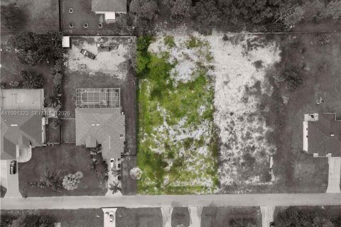 Купить земельный участок в Лихай-Эйкерс, Флорида № 2057523 - фото 7