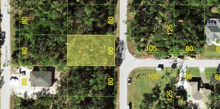 Land in Port Charlotte, Florida № 2163709