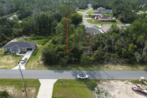 Land in Ocala, Florida № 2164800 - photo 7