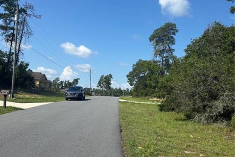 Land in Ocala, Florida № 2164800 - photo 3