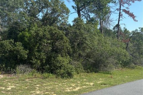 Land in Ocala, Florida № 2164800 - photo 10