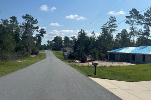 Land in Ocala, Florida № 2164800 - photo 4