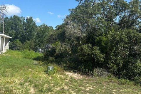 Land in Ocala, Florida № 2164800 - photo 5